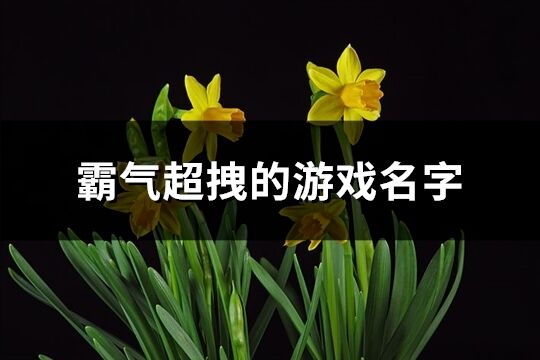 霸气超拽的游戏名字(优选1092个)