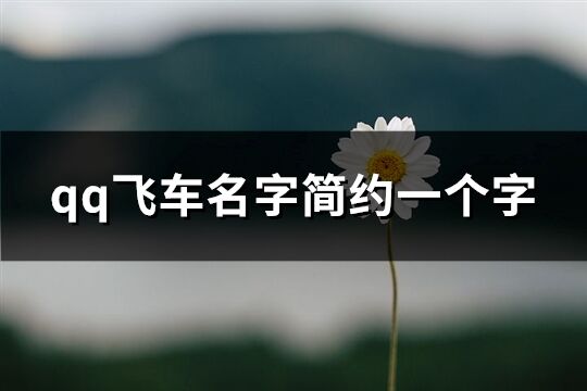 qq飞车名字简约一个字(166个)