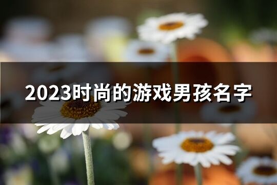 2023时尚的游戏男孩名字(精选213个)