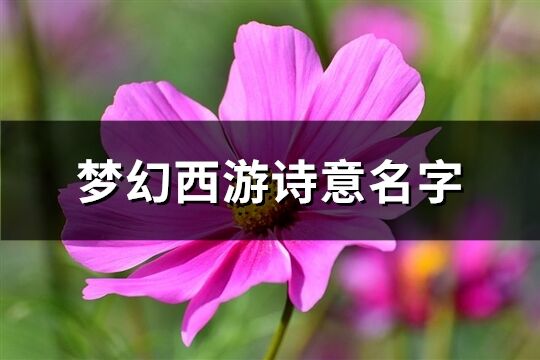 梦幻西游诗意名字(优选232个)