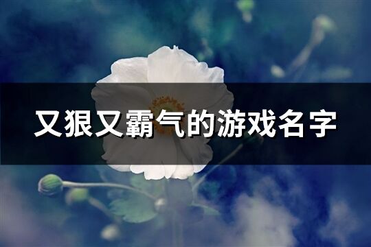 又狠又霸气的游戏名字(共407个)