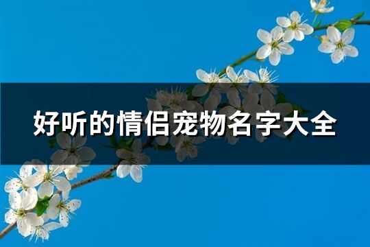 好听的情侣宠物名字大全(优选79个)