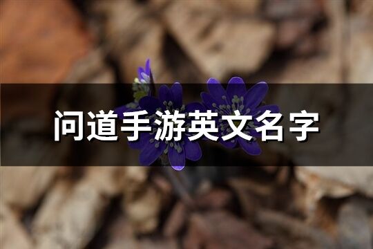 问道手游英文名字(共61个)