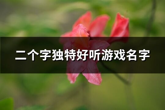 二个字独特好听游戏名字(991个)