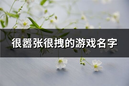 很嚣张很拽的游戏名字(共892个)