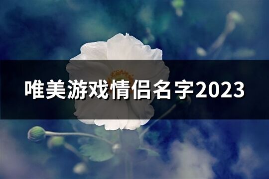 唯美游戏情侣名字2023(精选345个)