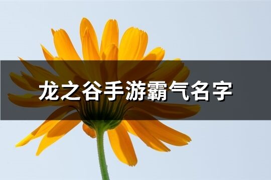 龙之谷手游霸气名字(精选203个)