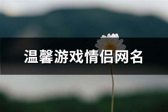 温馨游戏情侣网名(精选491个)