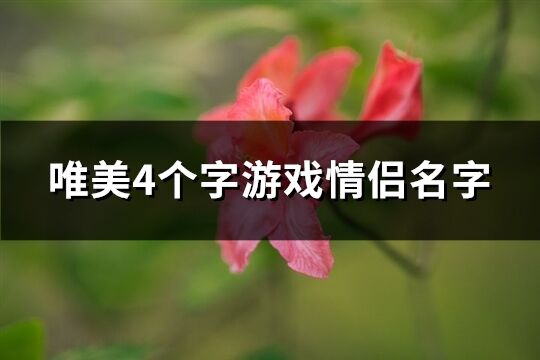 唯美4个字游戏情侣名字(共257个)