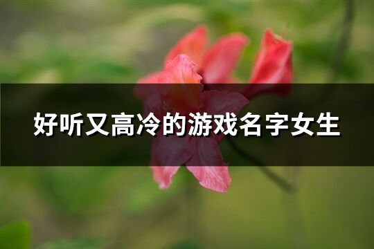 好听又高冷的游戏名字女生(优选410个)