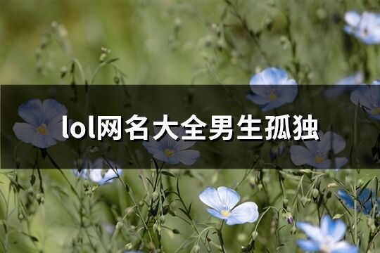 lol网名大全男生孤独(优选72个)