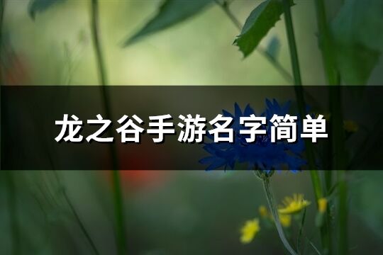 龙之谷手游名字简单(483个)