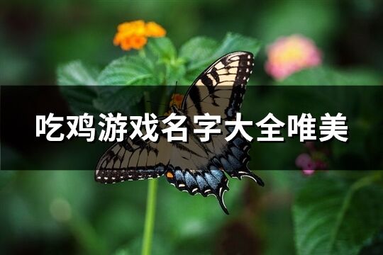 吃鸡游戏名字大全唯美(优选414个)