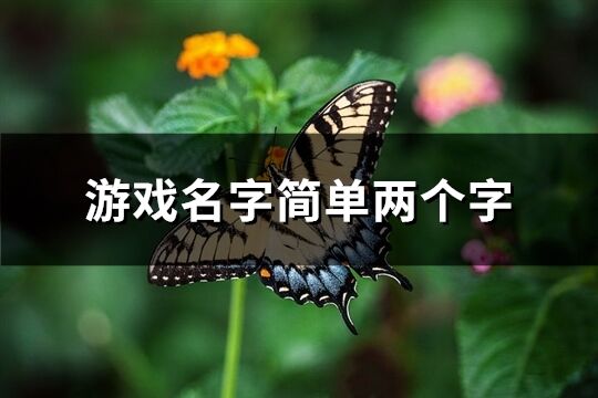 游戏名字简单两个字(1060个)