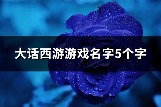 大话西游游戏名字5个字(453个)