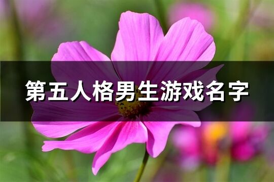 第五人格男生游戏名字(优选656个)