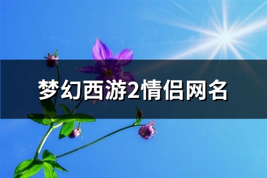 梦幻西游2情侣网名(精选237个)