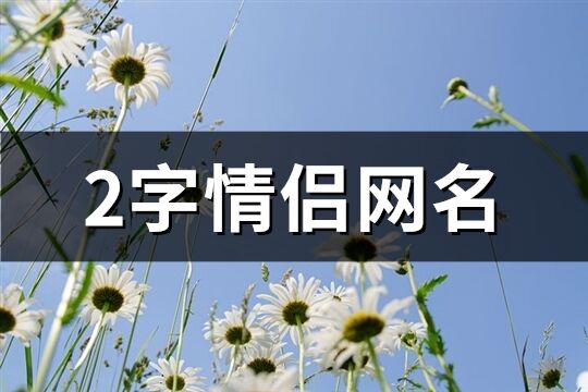 2字情侣网名(优选267个)