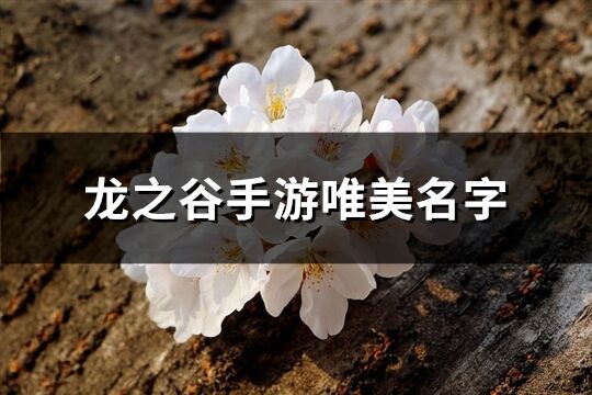 龙之谷手游唯美名字(优选455个)