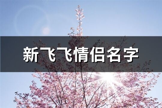 新飞飞情侣名字(优选64个)