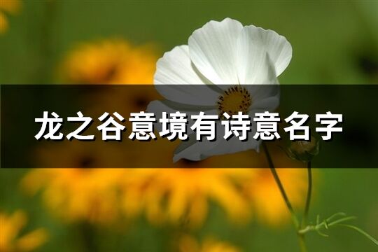 龙之谷意境有诗意名字(454个)