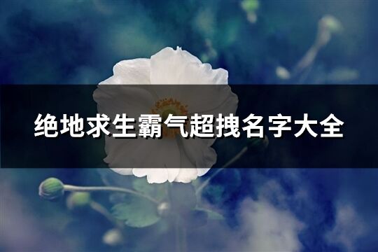 绝地求生霸气超拽名字大全(共301个)