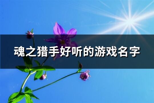 魂之猎手好听的游戏名字(优选471个)