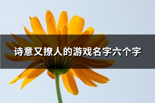 诗意又撩人的游戏名字六个字(共505个)