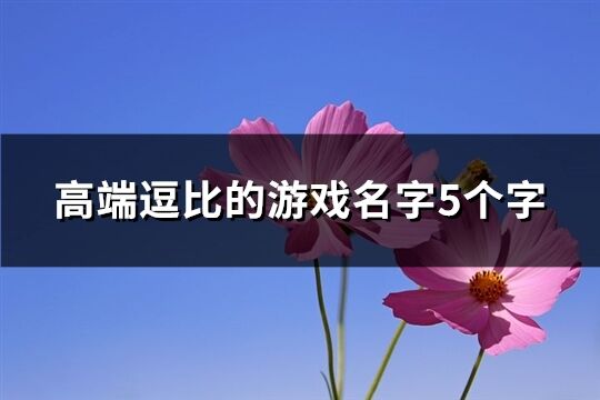 高端逗比的游戏名字5个字(优选205个)