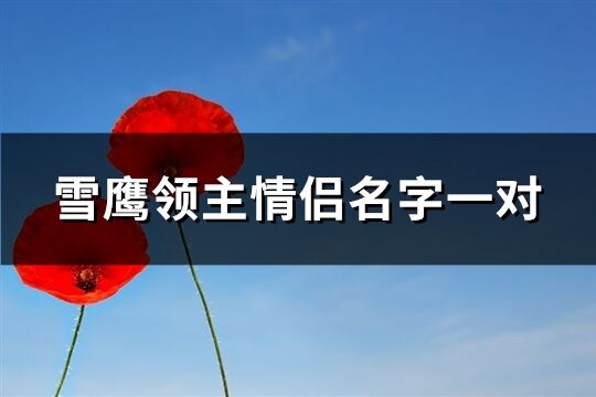 雪鹰领主情侣名字一对(共60个)