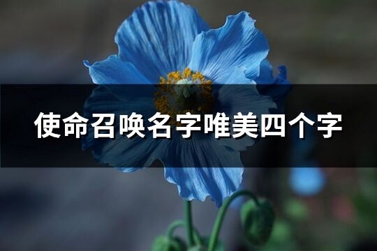 使命召唤名字唯美四个字(优选644个)