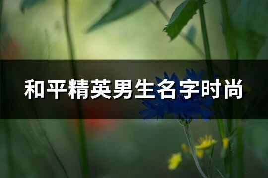 和平精英男生名字时尚(474个)