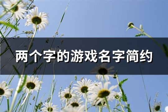 两个字的游戏名字简约(精选1173个)