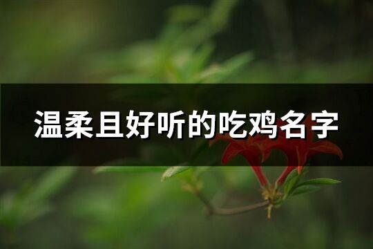 温柔且好听的吃鸡名字(共151个)