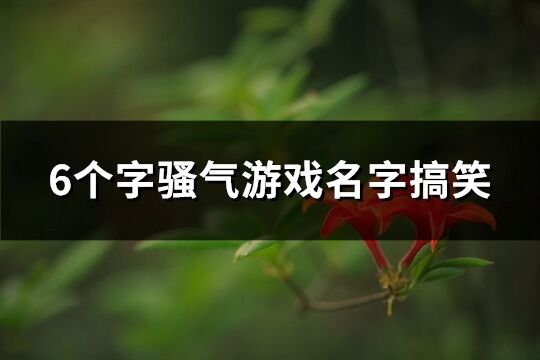 6个字骚气游戏名字搞笑(精选339个)