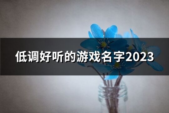 低调好听的游戏名字2023(精选53个)