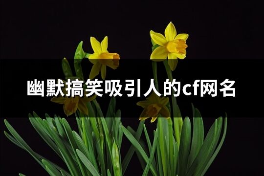 幽默搞笑吸引人的cf网名(精选76个)