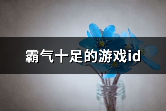 霸气十足的游戏id(精选1180个)