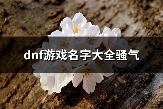 dnf游戏名字大全骚气(精选86个)