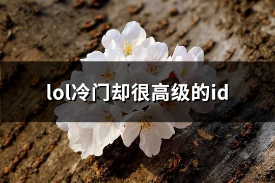 lol冷门却很高级的id(优选62个)