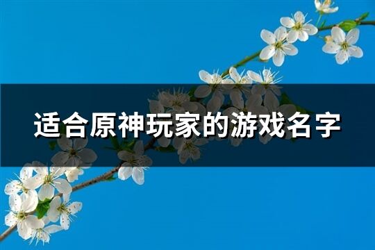 适合原神玩家的游戏名字(优选470个)