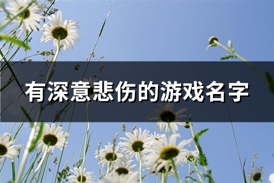 有深意悲伤的游戏名字(共196个)