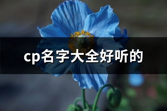 cp名字大全好听的(81个)