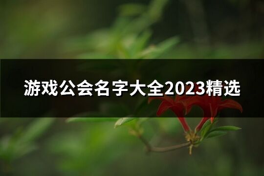 游戏公会名字大全2023精选(优选614个)