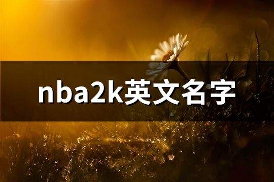 nba2k英文名字(共79个)