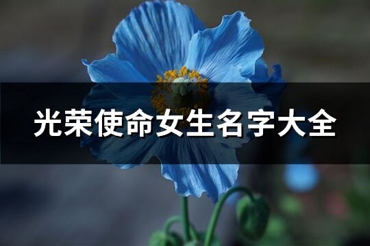 光荣使命女生名字大全(241个)