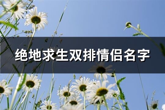 绝地求生双排情侣名字(144个)