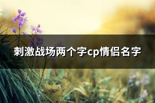 刺激战场两个字cp情侣名字(优选93个)