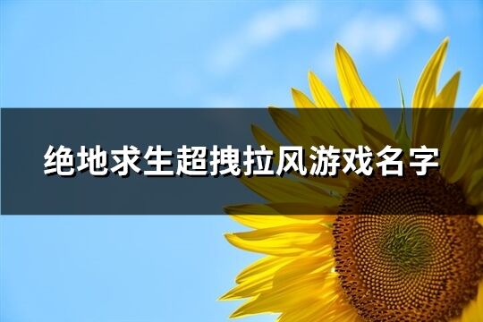 绝地求生超拽拉风游戏名字(精选555个)