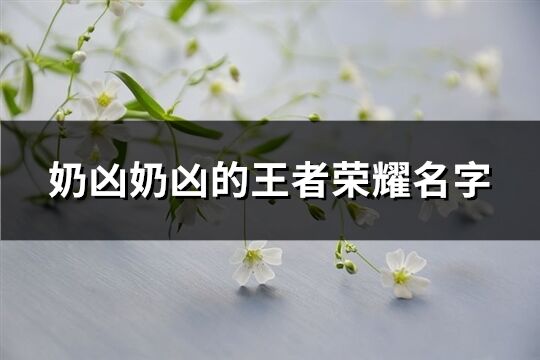 奶凶奶凶的王者荣耀名字(优选329个)